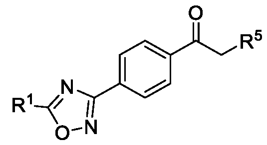 Figure imgf000005_0002