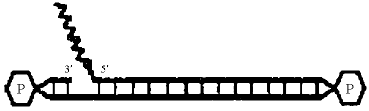 Figure US09663784-20170530-C00016