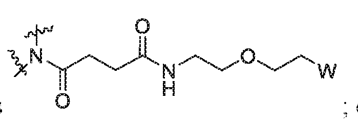 Figure imgf000004_0004