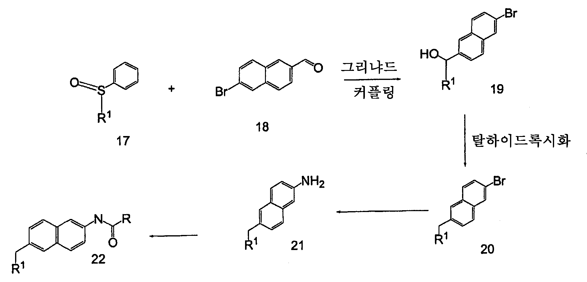 Figure 112006060289308-PCT00034