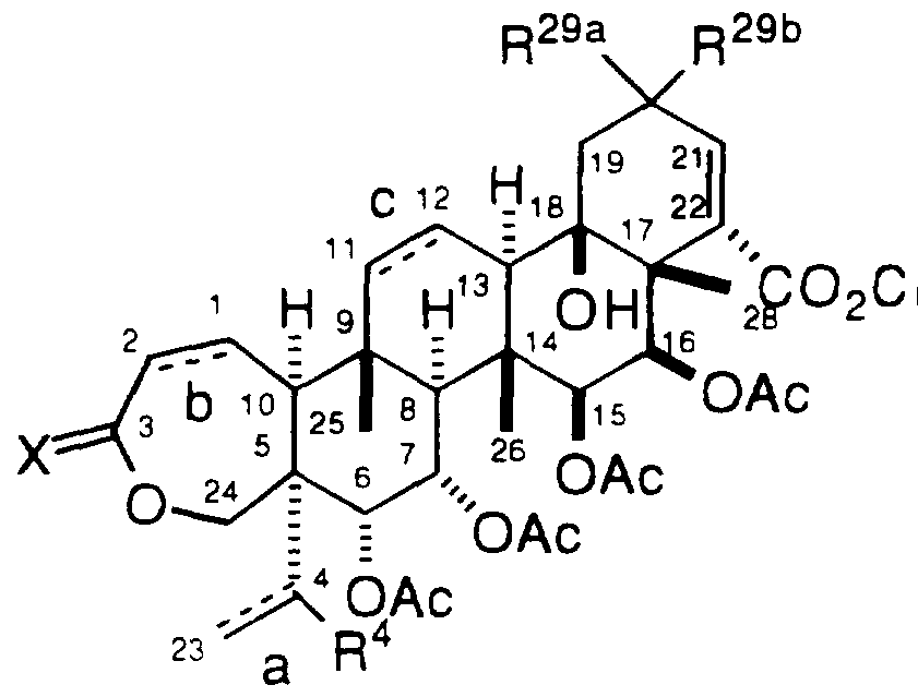 Figure imgf000005_0001