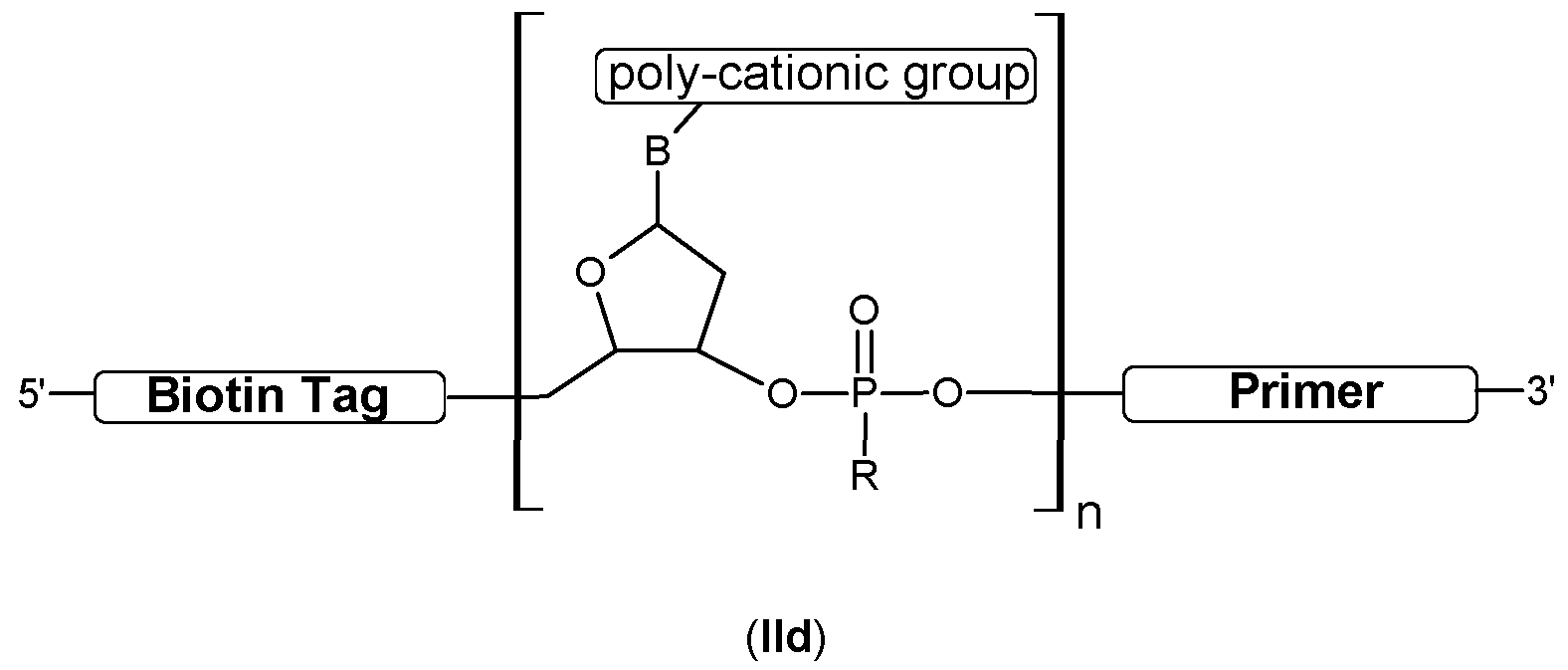 Figure imgf000061_0005