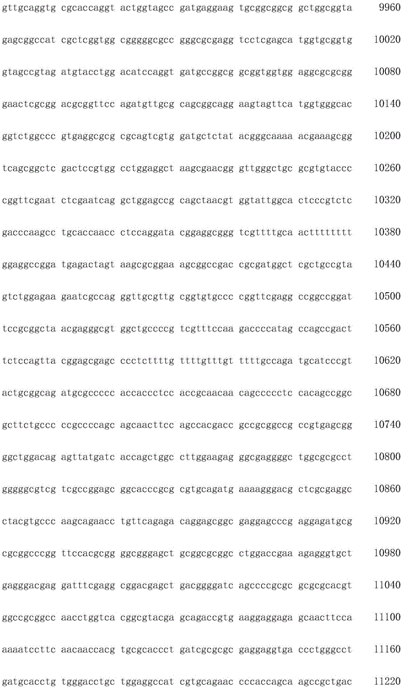 Figure IDA0002872168960000371