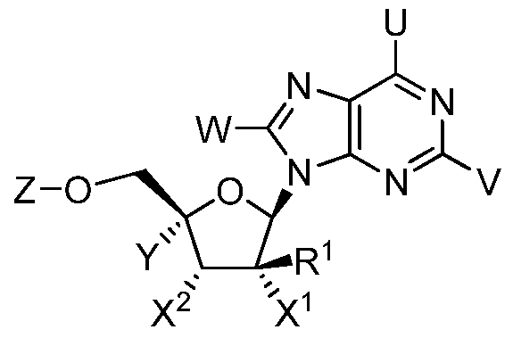 Figure imgf000008_0001