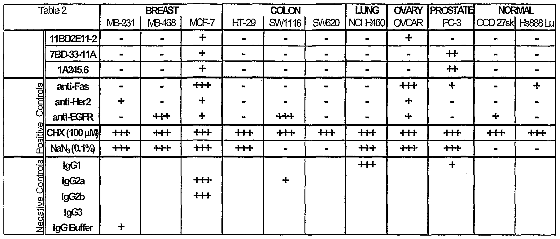Figure imgf000025_0001