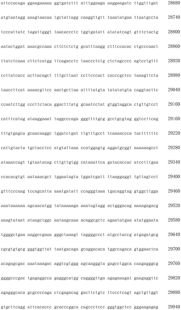 Figure IDA0003936212790001231