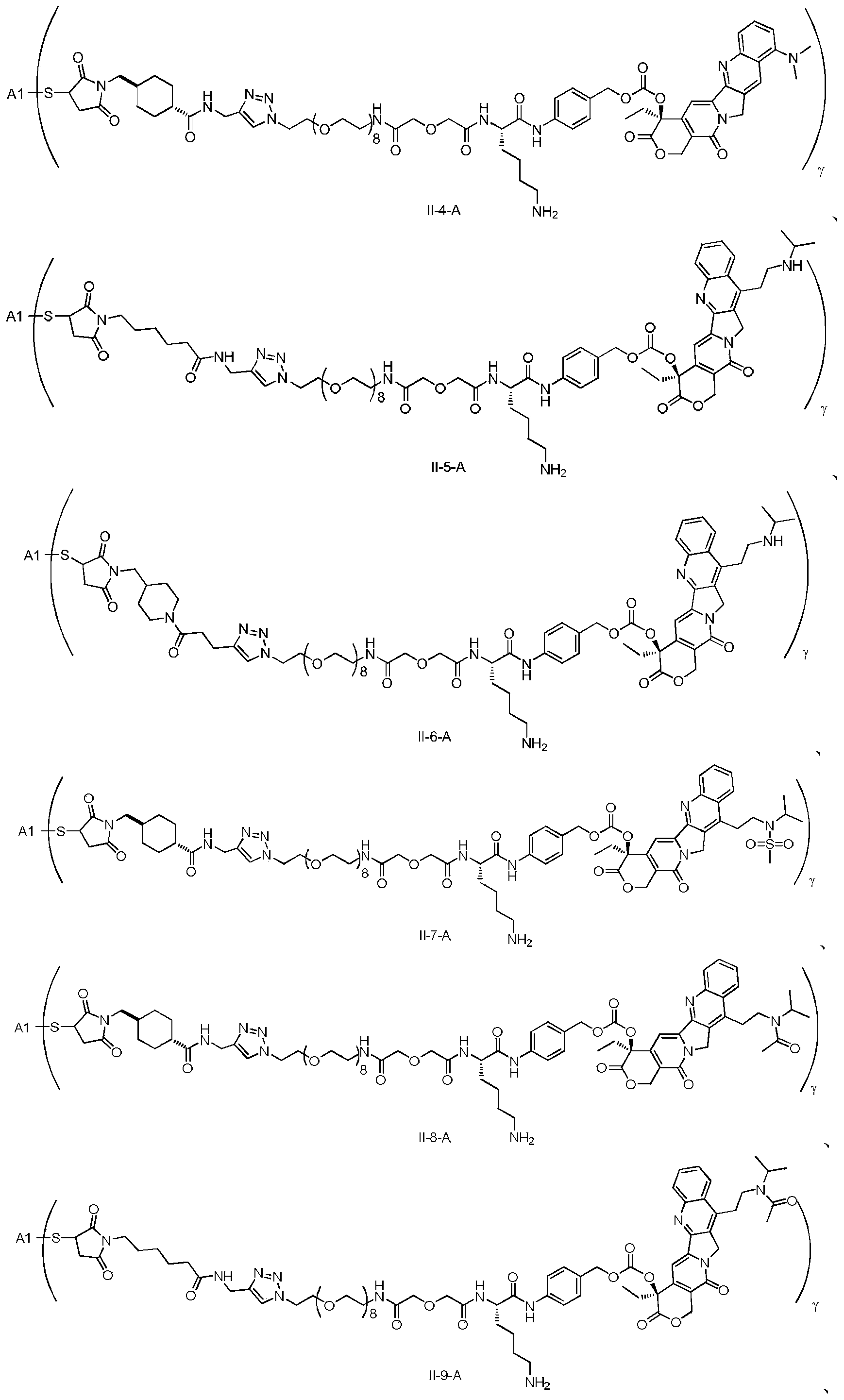 Figure PCTCN2019073148-appb-000101