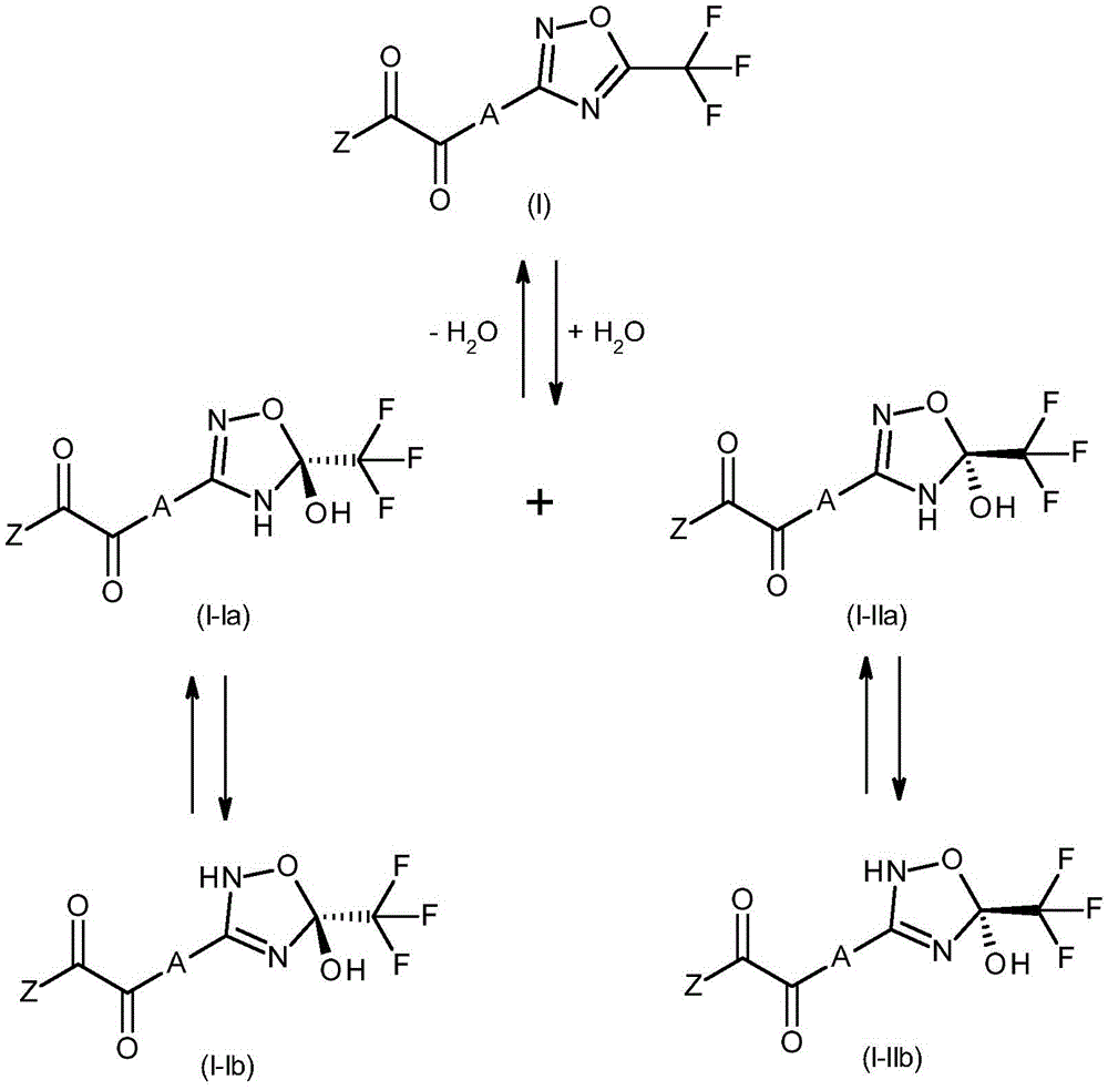 Figure BDA0002867242820000111