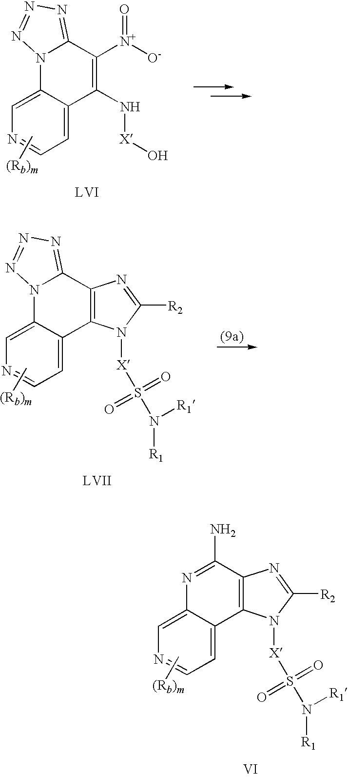 Figure US20090062272A1-20090305-C00073