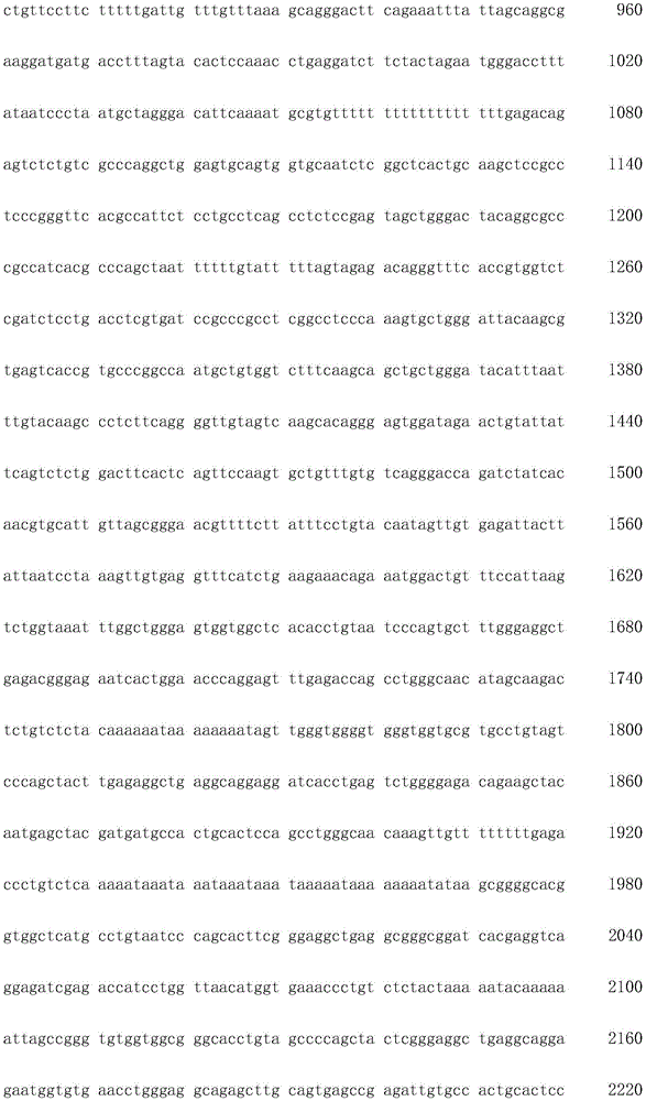 Figure IDA0003936212790001021