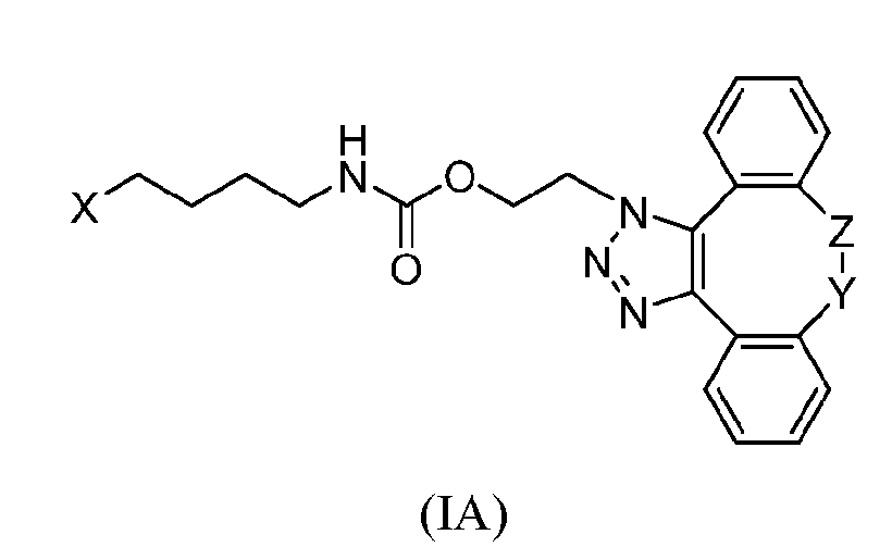 Figure imgf000018_0001