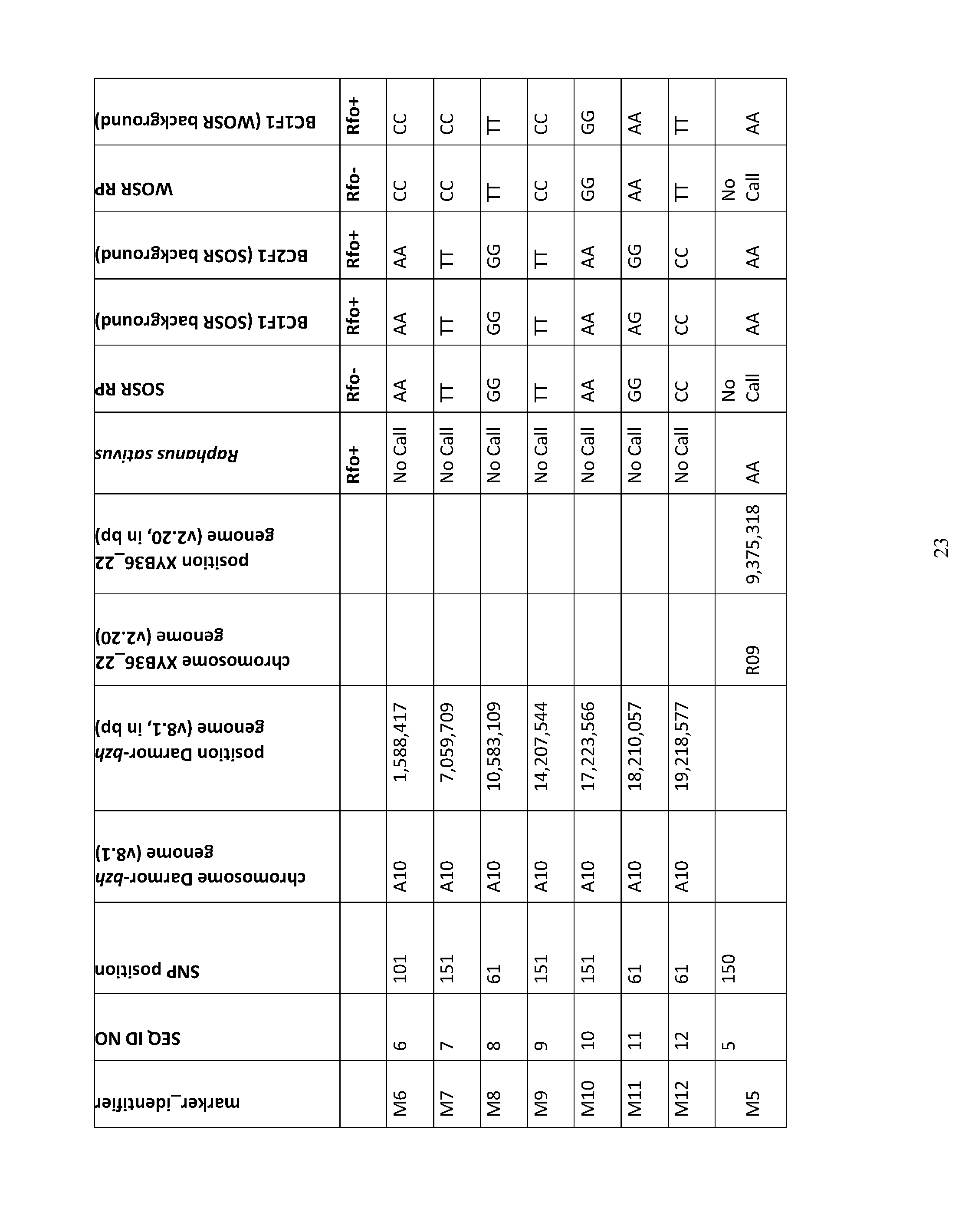 Figure imgf000025_0001