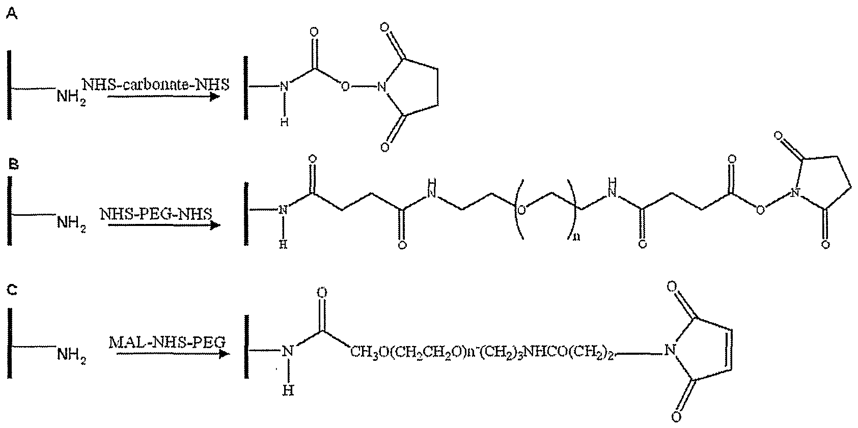 Figure imgf000031_0001