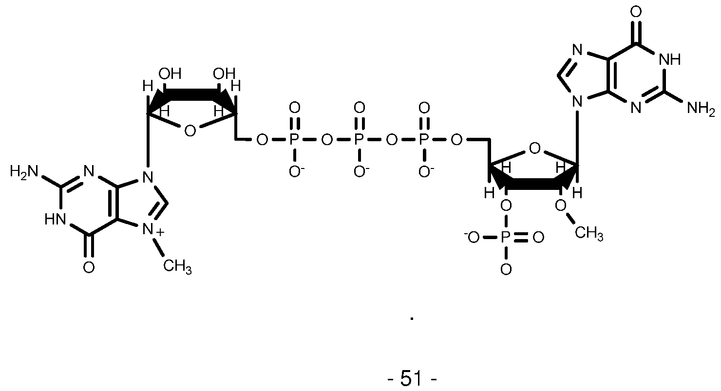Figure imgf000052_0001
