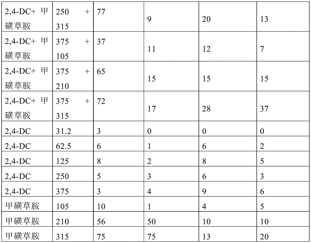 Figure GDA0003414807900000541