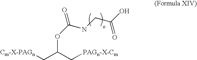Figure US20080207505A1-20080828-C00031