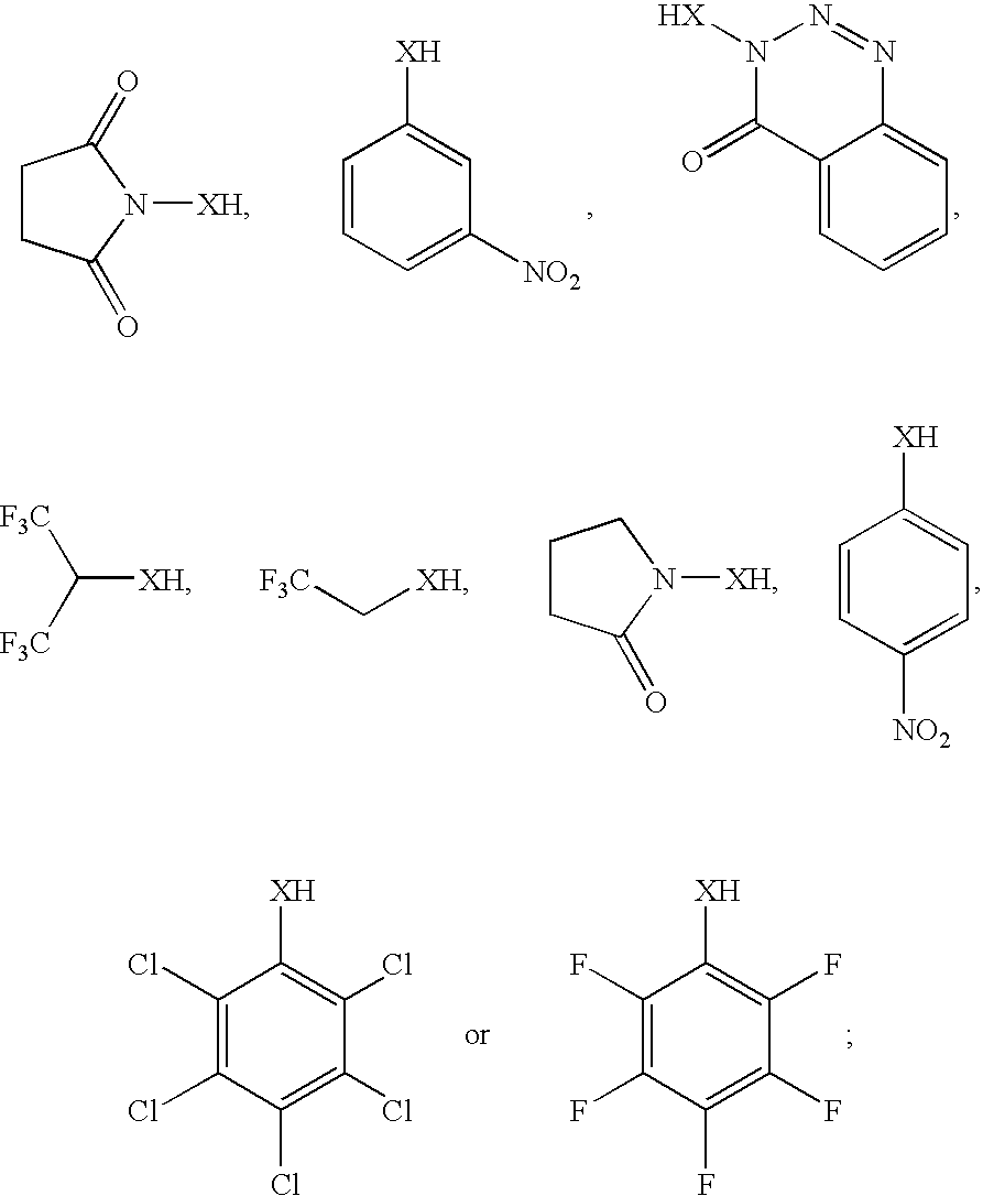 Figure US20050147985A1-20050707-C00013