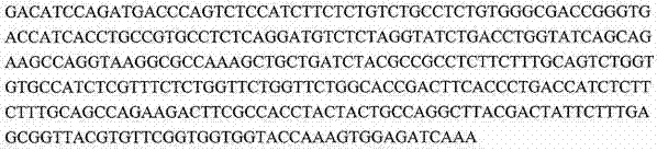 Figure 181666DEST_PATH_IMAGE058