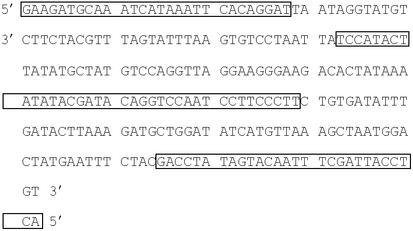 Figure US20070259337A1-20071108-C00006