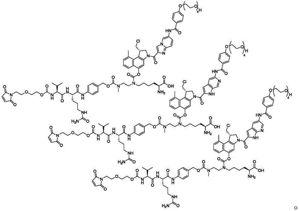 Figure GDA0002483706190002201