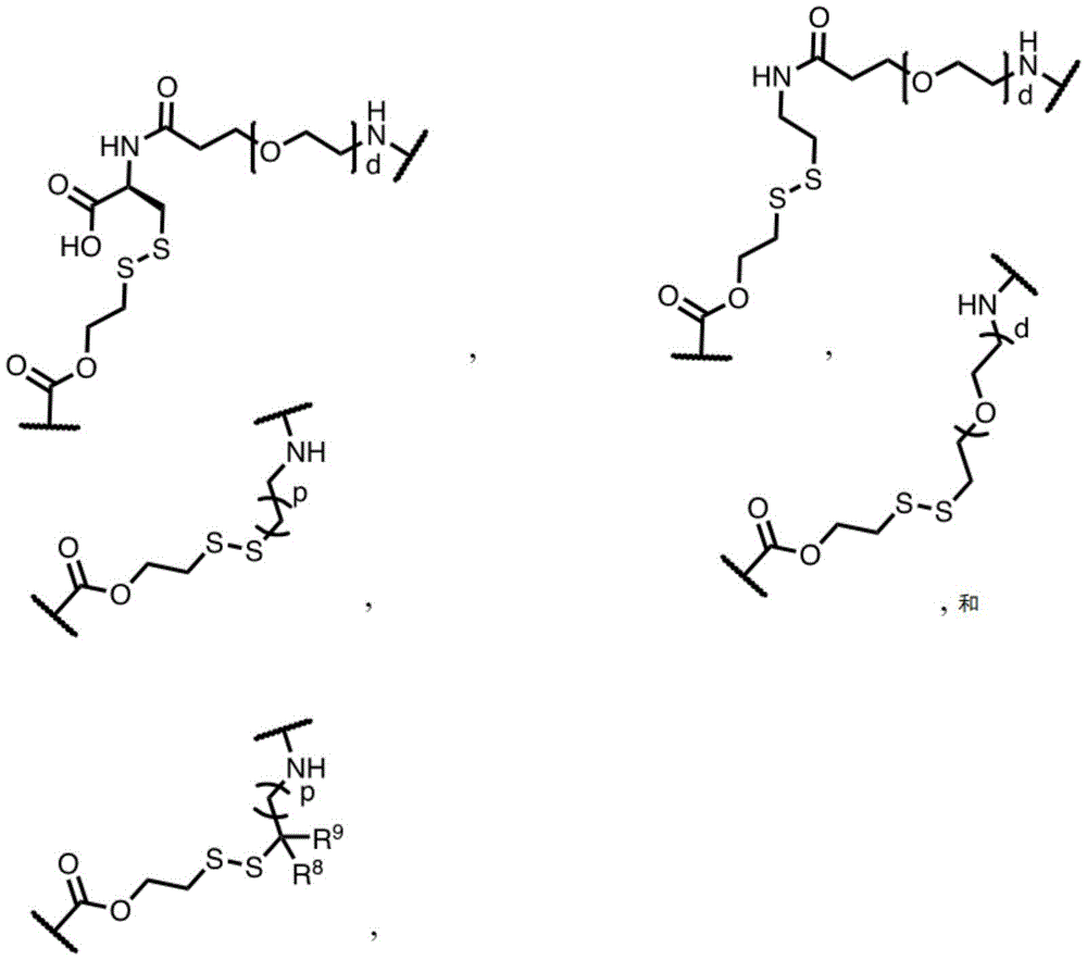 Figure FDA0004087467780000101
