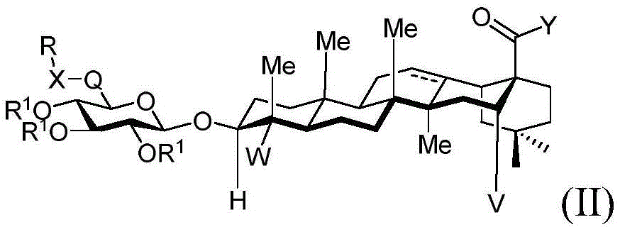 Figure FDA0003391153230000051