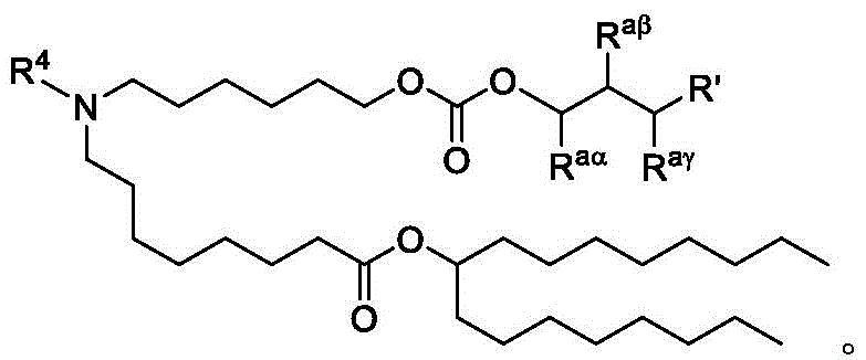 Figure FDA0003652566700000032