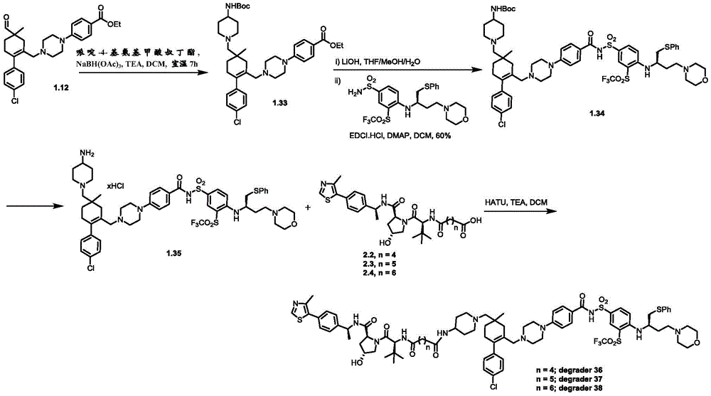 Figure BDA0003293294510001371