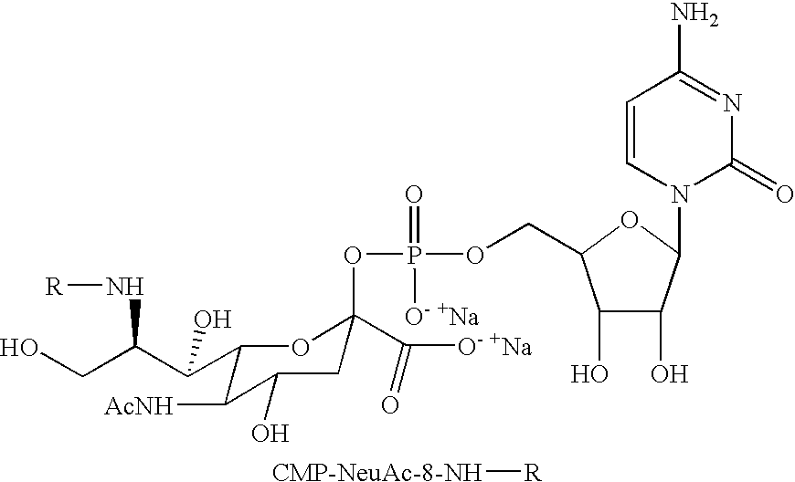 Figure US20080242607A1-20081002-C00050