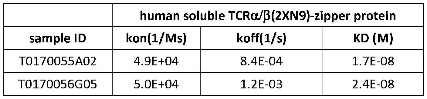 Figure imgf000166_0002
