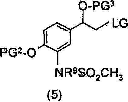Figure BSA00000337359900033