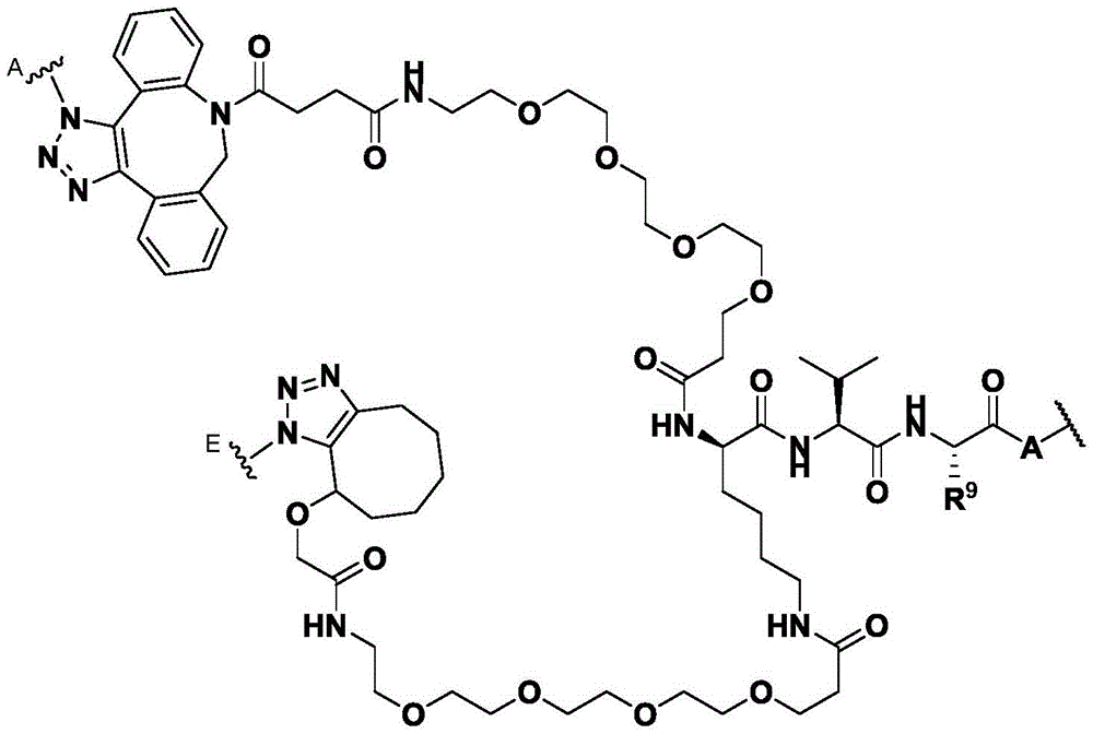 Figure BDA0003169092350000603
