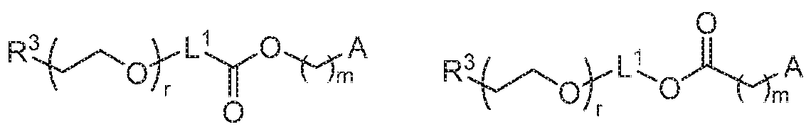 Figure imgf000306_0001
