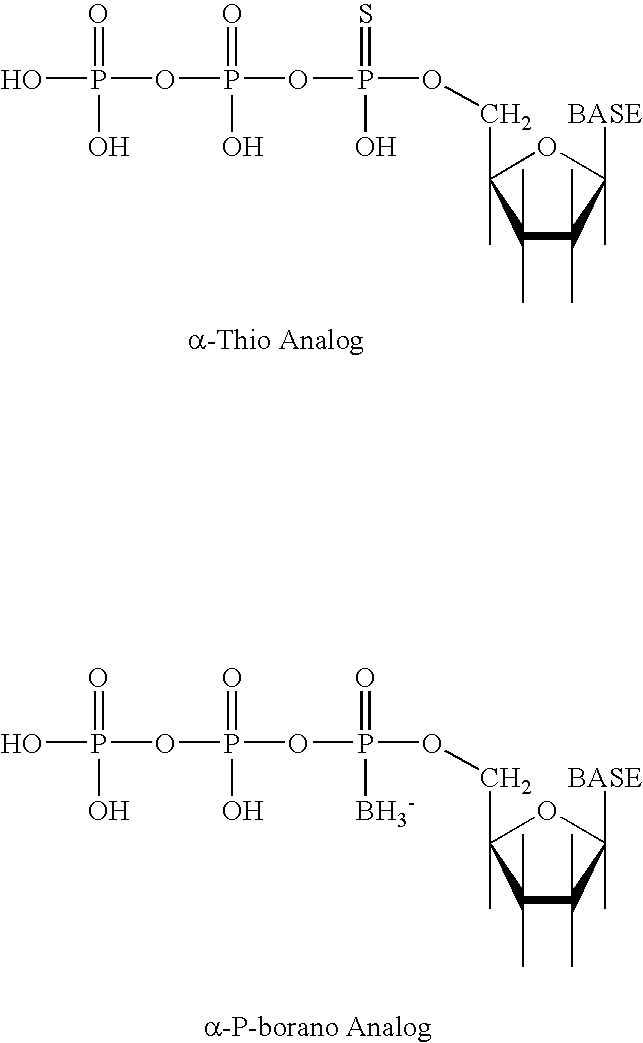 Figure US20040126765A1-20040701-C00001