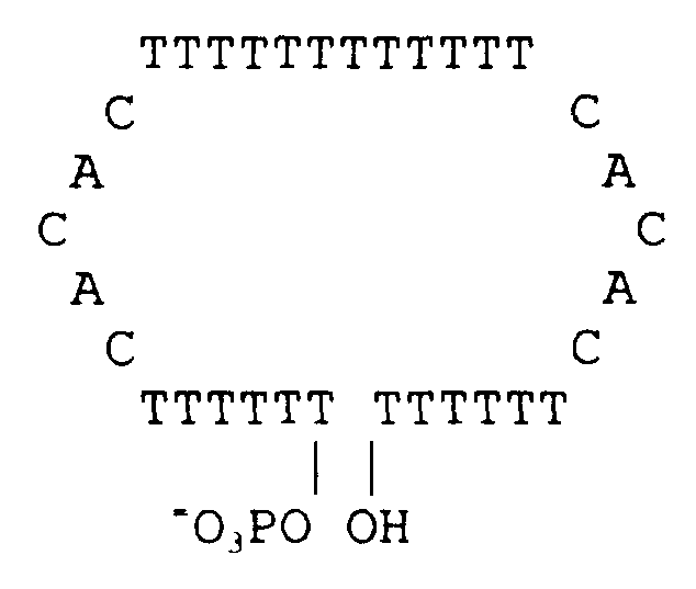 Figure imgf000079_0002