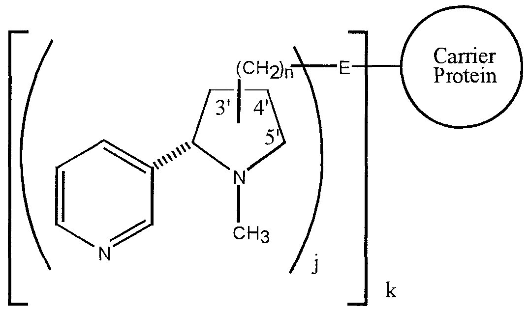 Figure imgf000039_0001
