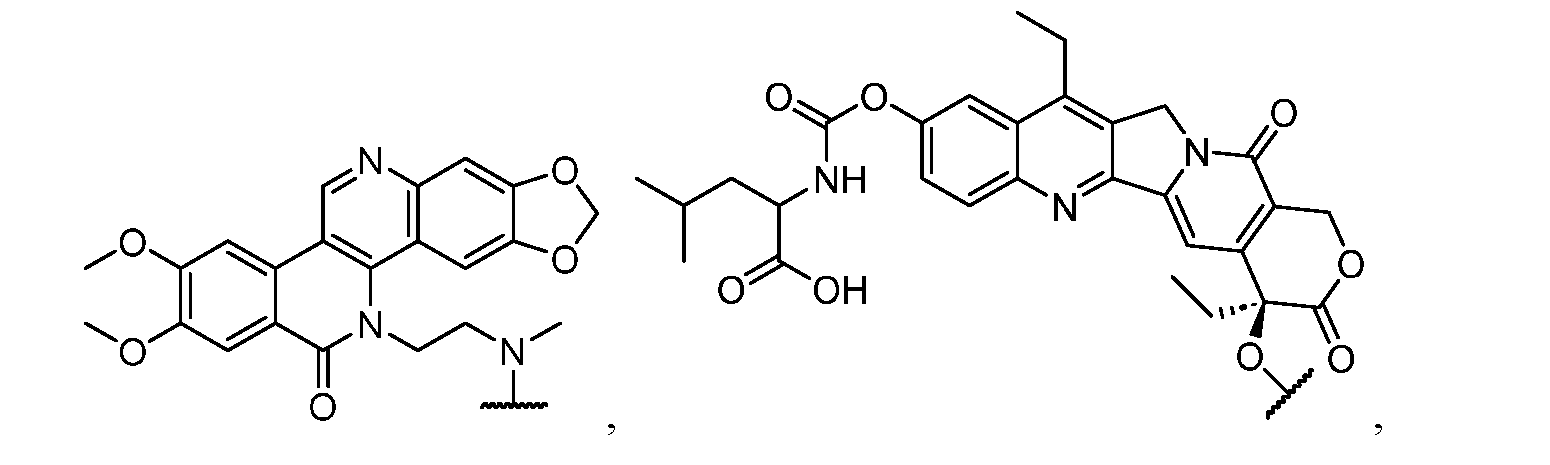 Figure imgf000005_0002