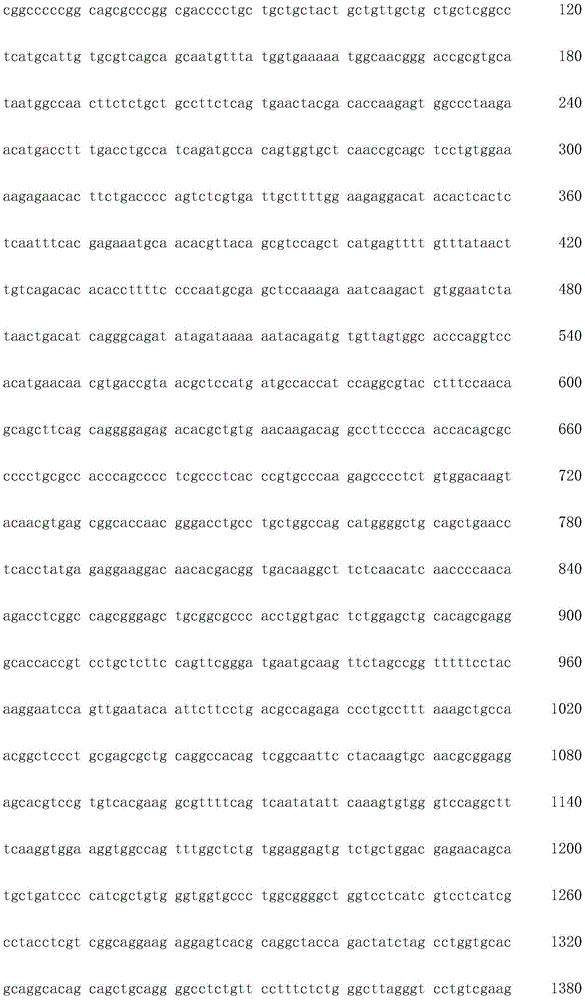 Figure IDA0002872168960002481