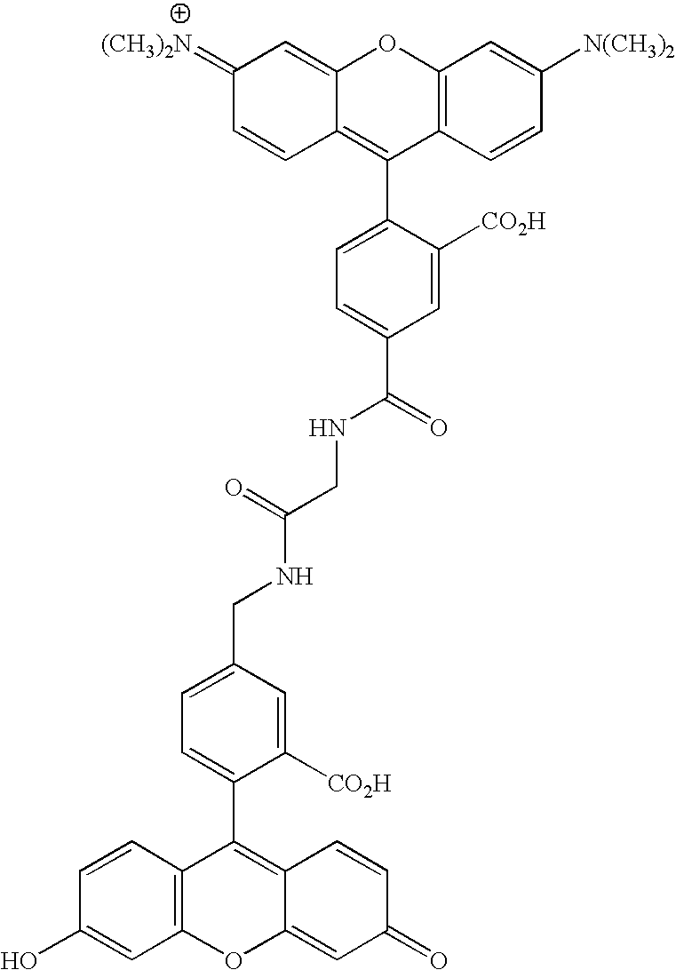 Figure US20070154927A1-20070705-C00119