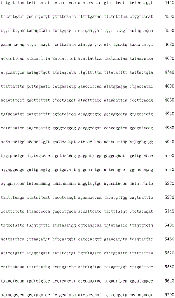 Figure IDA0003936212790000231