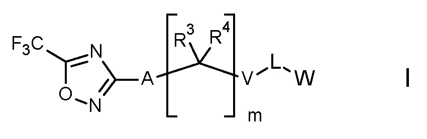 Figure imgf000002_0001