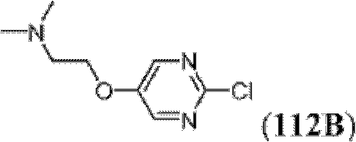 Figure BDA0000083236130002921