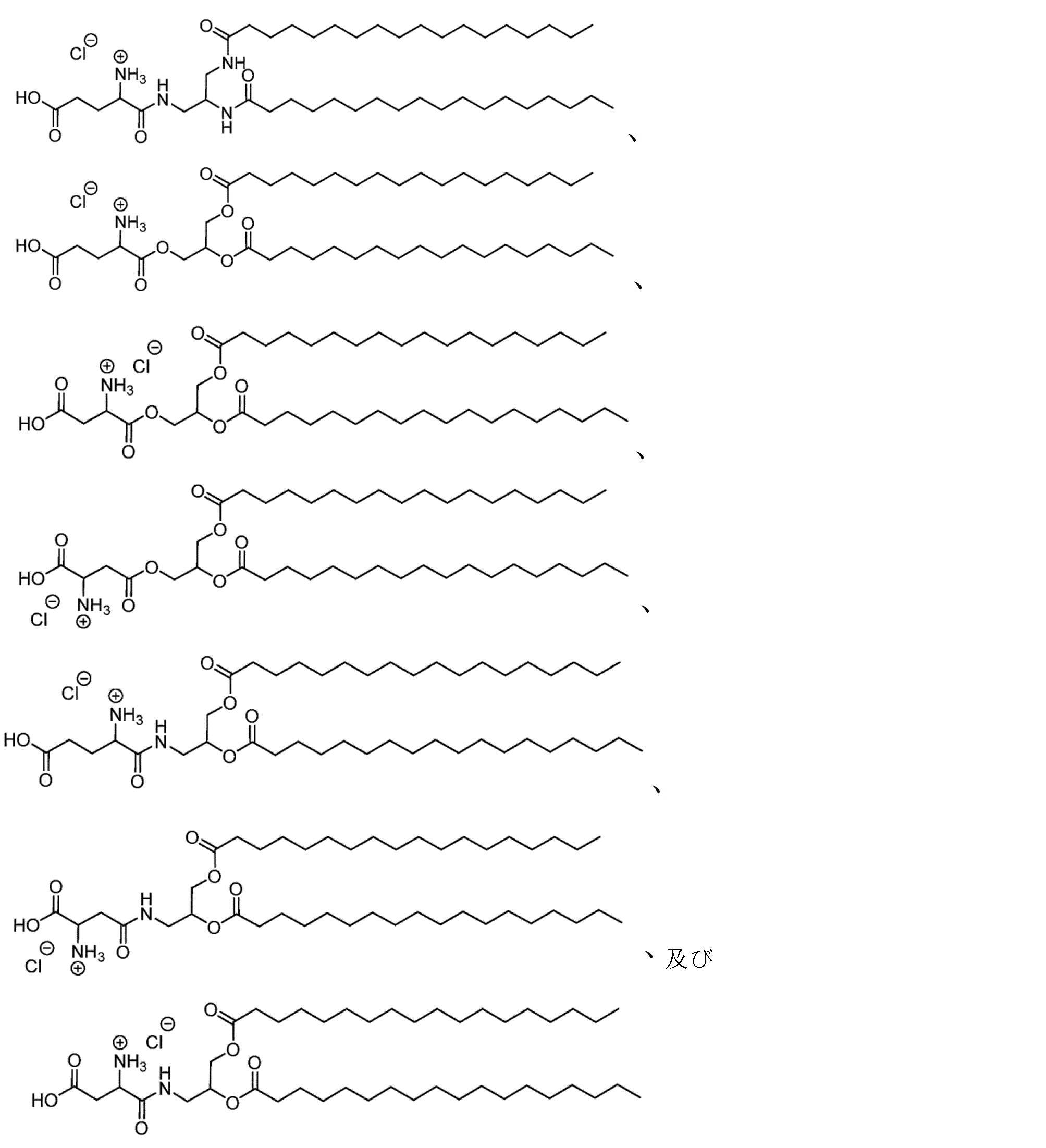 Figure 2022519557000058