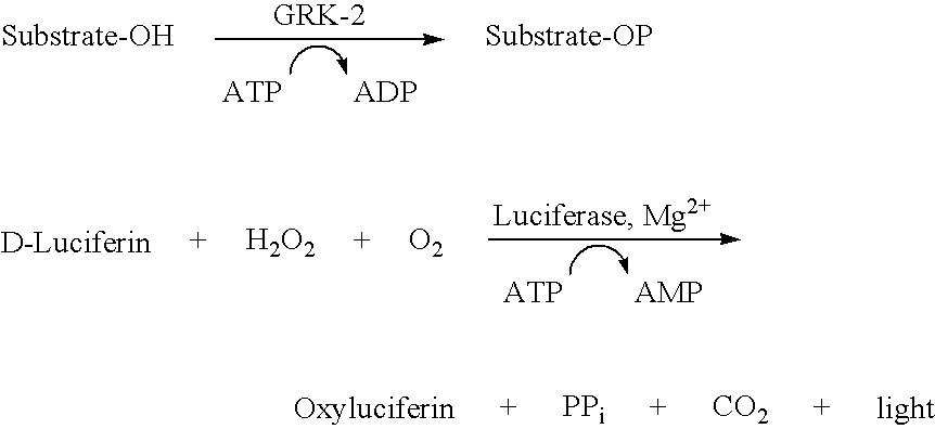 Figure US20070135499A1-20070614-C00010