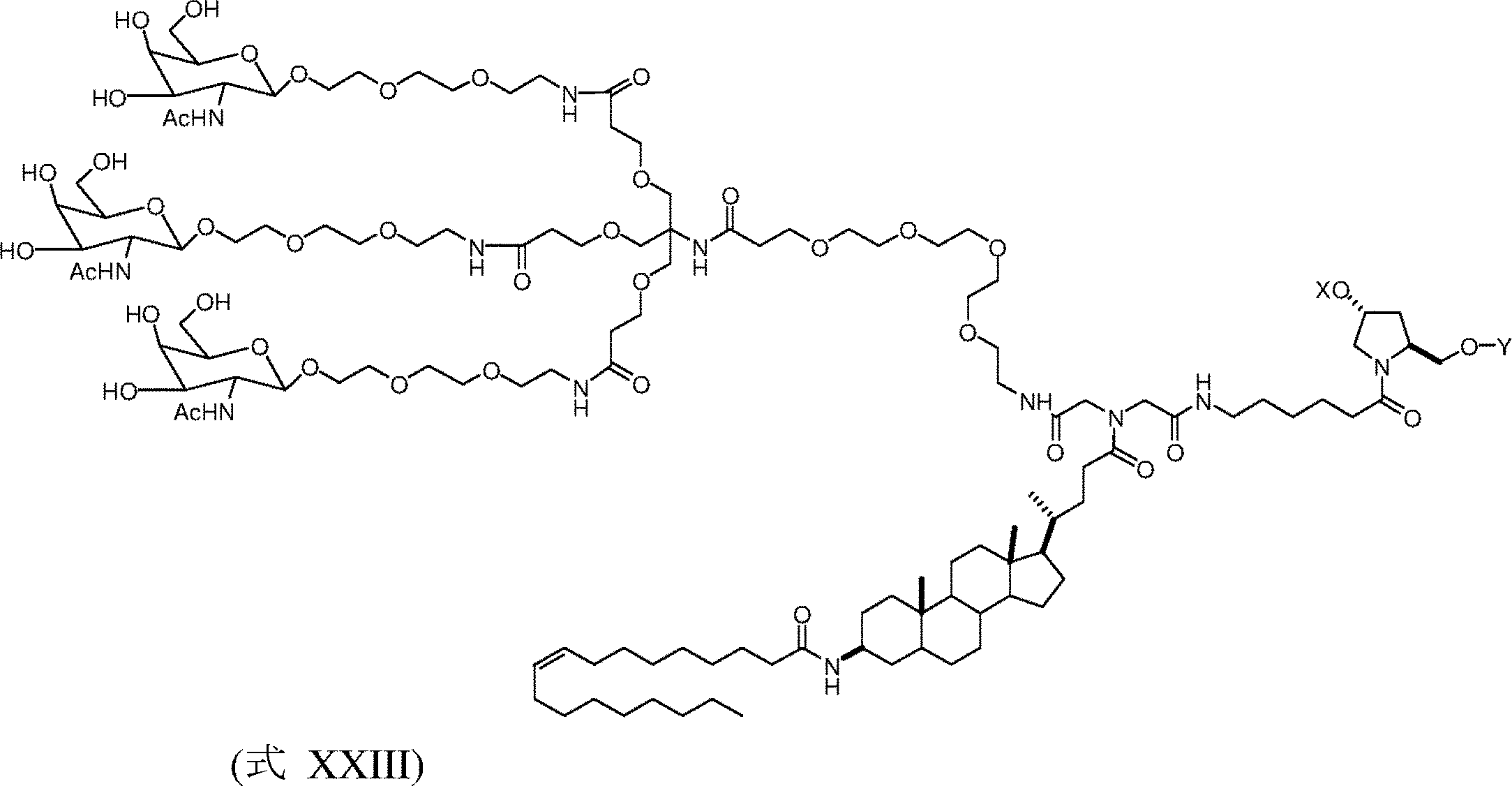 Figure 2022033857000042