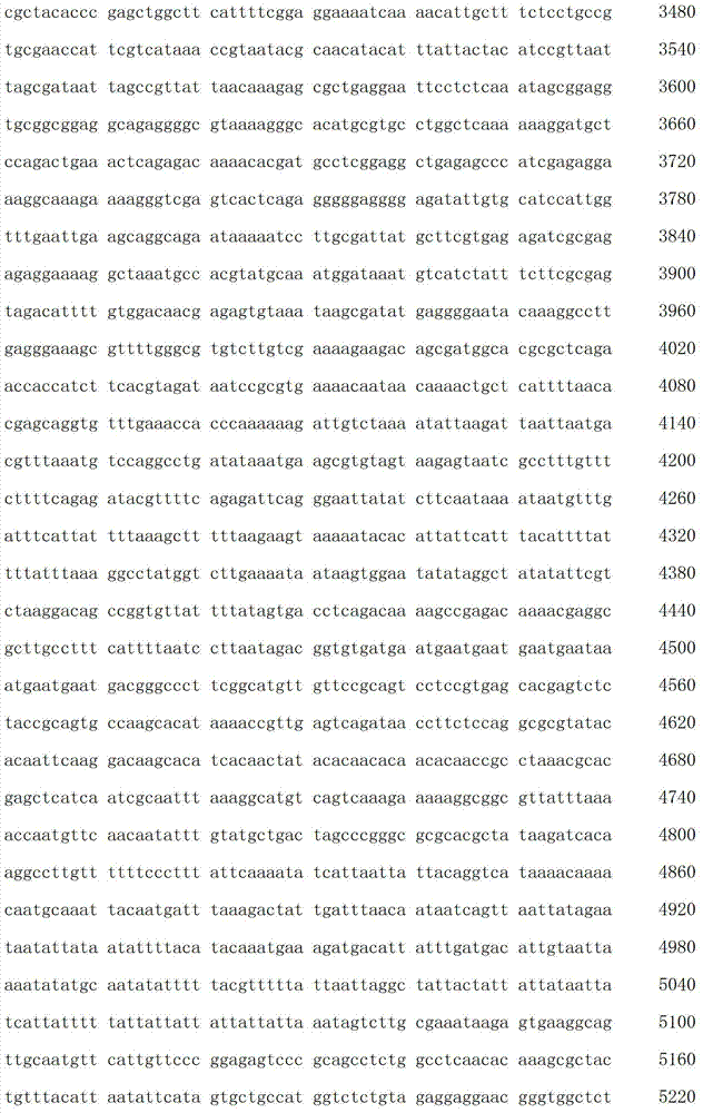 Figure IDA00003076741800321