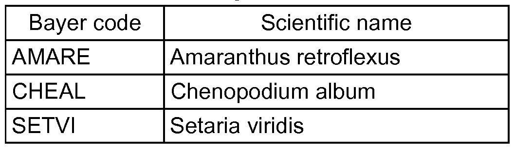 Figure imgf000099_0001