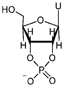 Figure imgf000040_0001