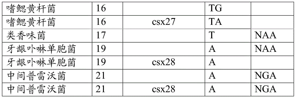 Figure BDA0002313867470002911