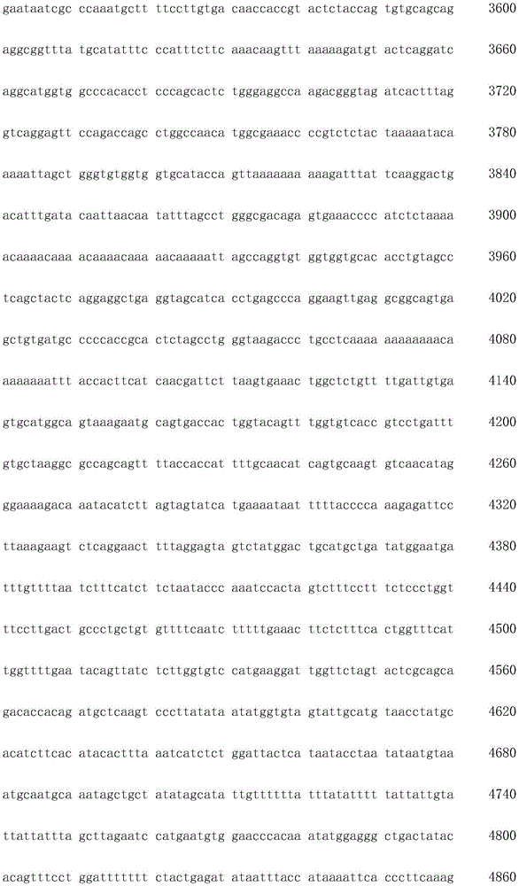 Figure IDA0003936212790001041